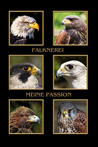 Falknerei meine Passion: Weißkopfseeadler, Steinadler, Gerfalke, Wanderfalke, Turmfalke, Wüstenbussard. Format A5, 120 Seiten, dezent grau liniert. ... Falkner, Ornithologen, Biologen, Naturkundler Mathematics