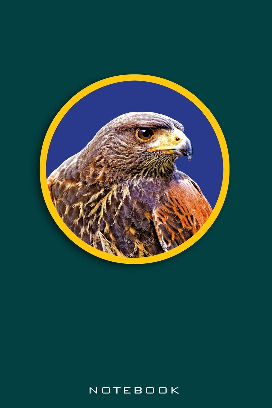 Notebook: Desert Buzzard, Harris Hawk, Buteo. Format A5, 120 pages, fine light grey lined. Daily entries, notes and journal for the falconer, Ornithologist, nature and bird friends. Mathematics