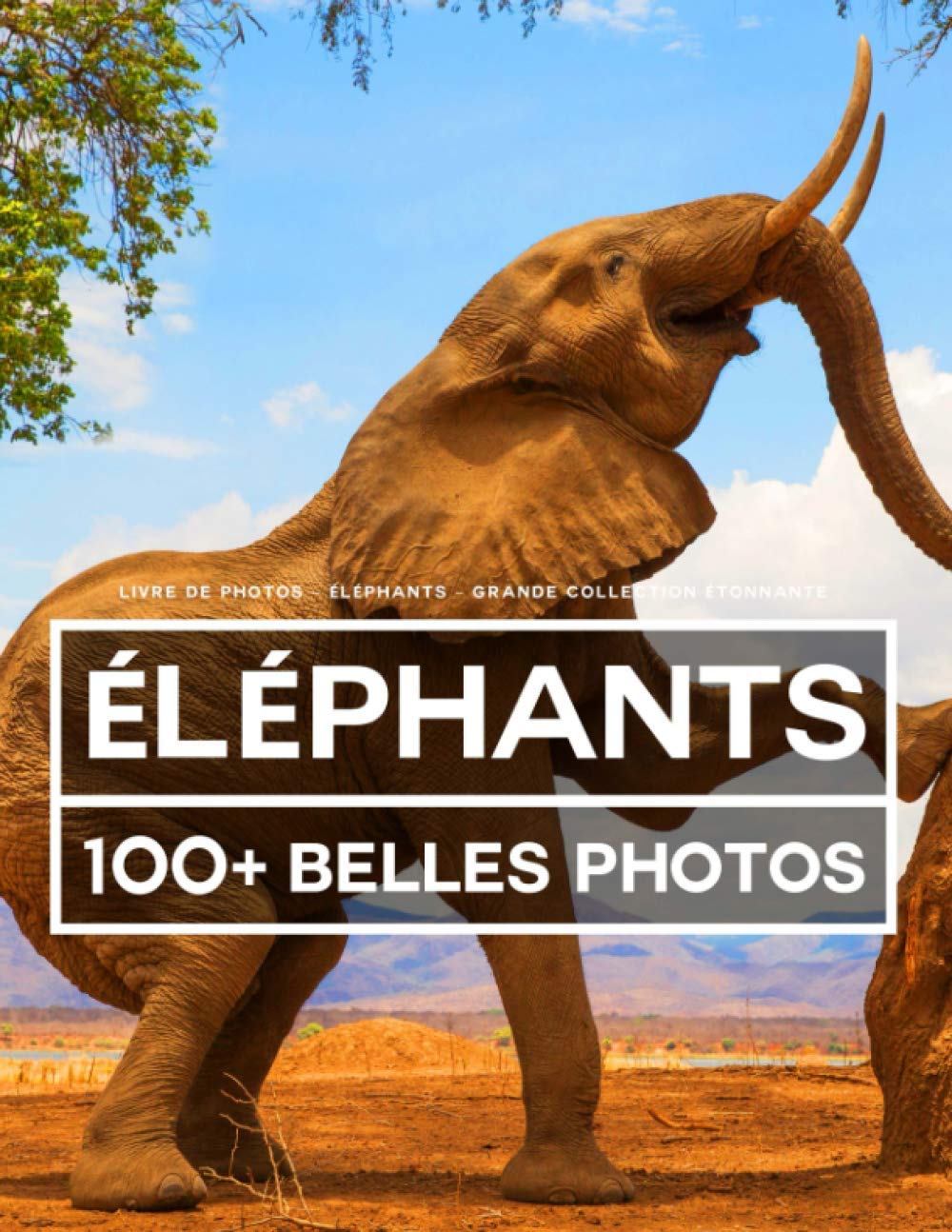 Livre De Photos - Éléphants - Grande Collection Étonnante: 100 Belles Photos Dans Ce Fantastique Livre Sur Les Éléphants - Livre De Photos Des Animaux Pour Enfants Et Adultes Nature & Animals