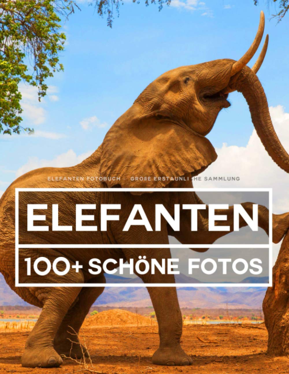 Elefanten Fotobuch - Große Erstaunliche Sammlung: 100 Wunderschöne Fotos In Diesem Fantastischen Bildband - Buch der Tiere Für Kinder und Erwachsene Nature & Animals