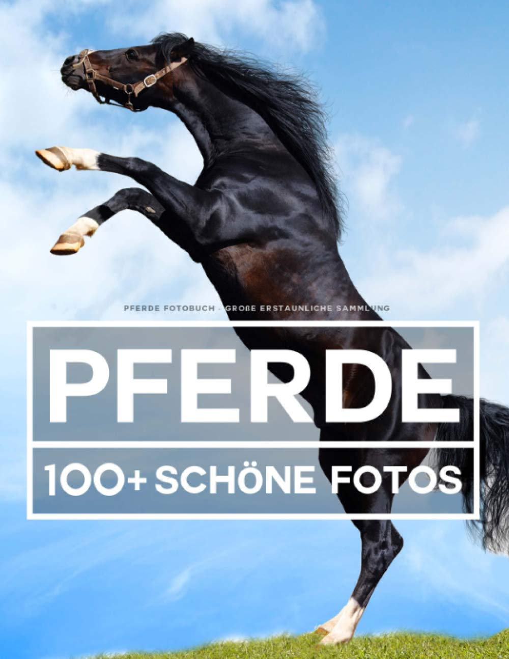 Pferde Fotobuch - Große Erstaunliche Sammlung: 100 Wunderschöne Fotos In Diesem Fantastischen Pferde Bildband - Buch der Tiere Für Kinder und Erwachsene Nature & Animals