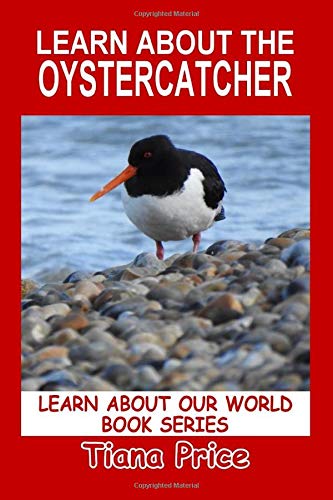 Learn About the Oystercatcher (Learn About Our World, Band 27) Novels & Short Stories