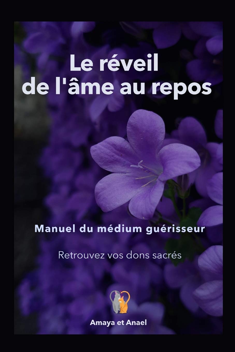Le réveil de l'âme au repos: Manuel du médium guérisseur / Théorie et entraînement book