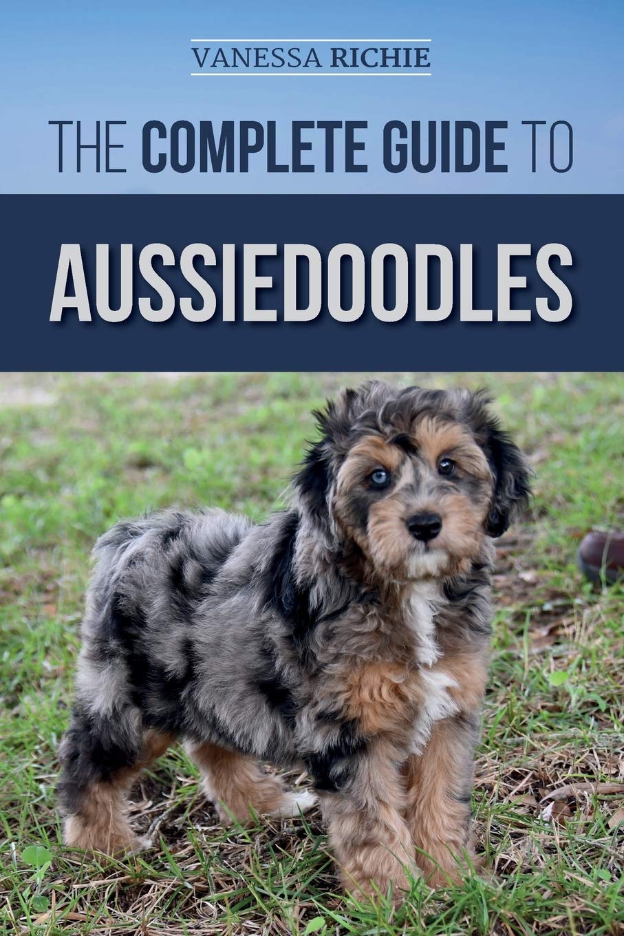The Complete Guide to Aussiedoodles: Finding, Caring For, Training, Feeding, Socializing, and Loving Your New Aussidoodle book