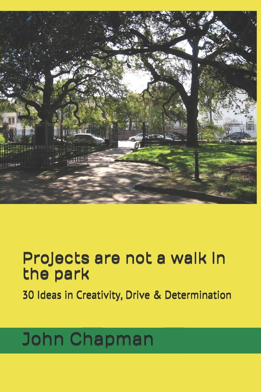 Projects are not a walk in the park: 30 ideas in Creativity, Drive & Determination Business, Finance & Career