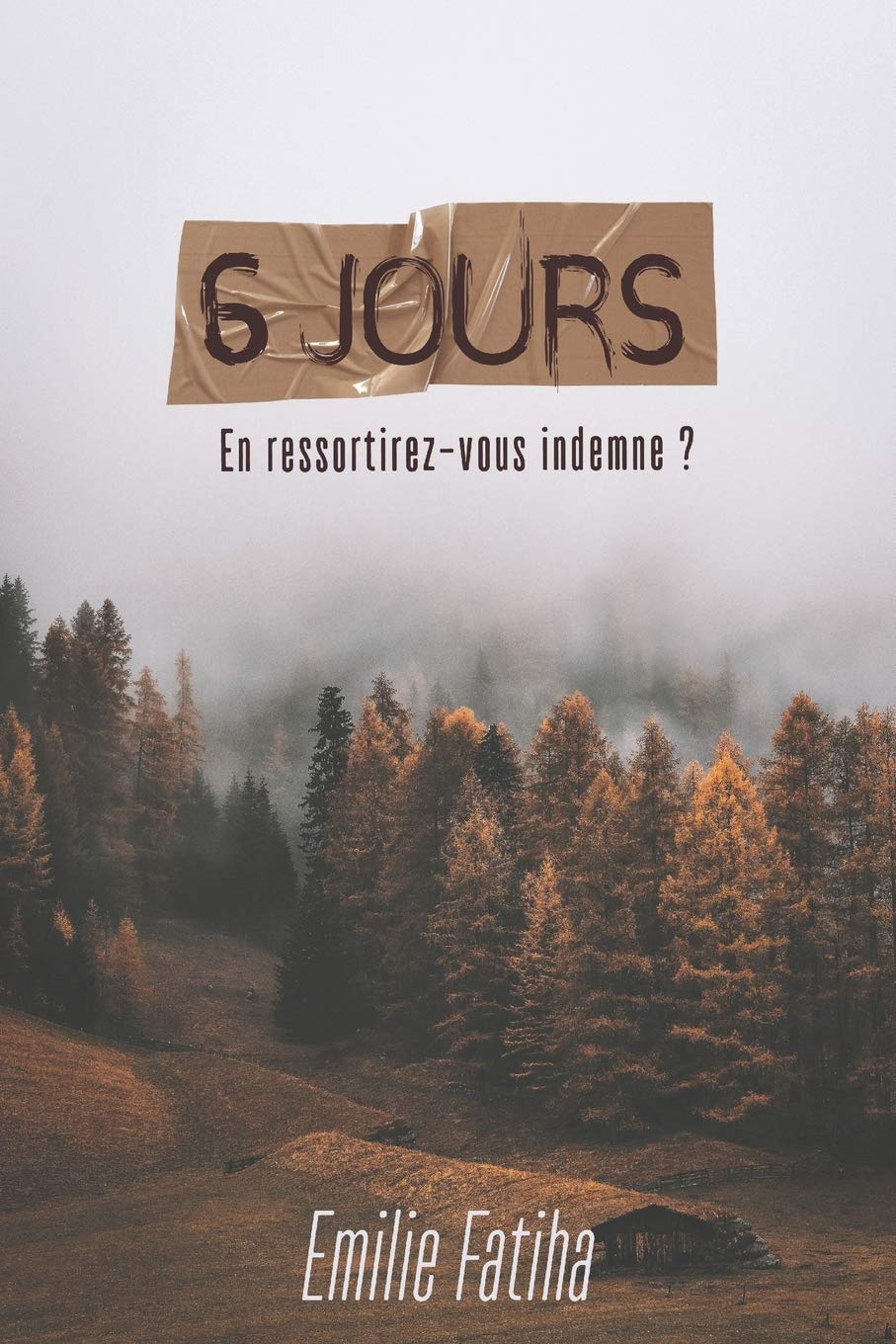 6 JOURS: En ressortirez-vous indemne ? book