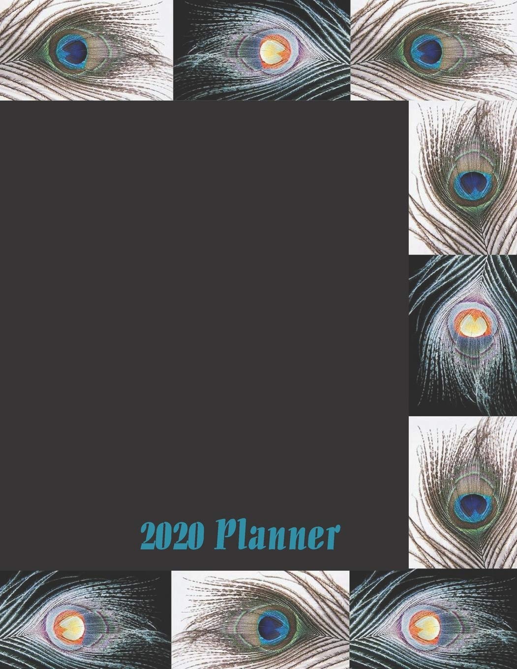 2020 Planner: Monthly calendar planner with federal holidays and inspirational quotes, peacock feathers Business, Finance & Career