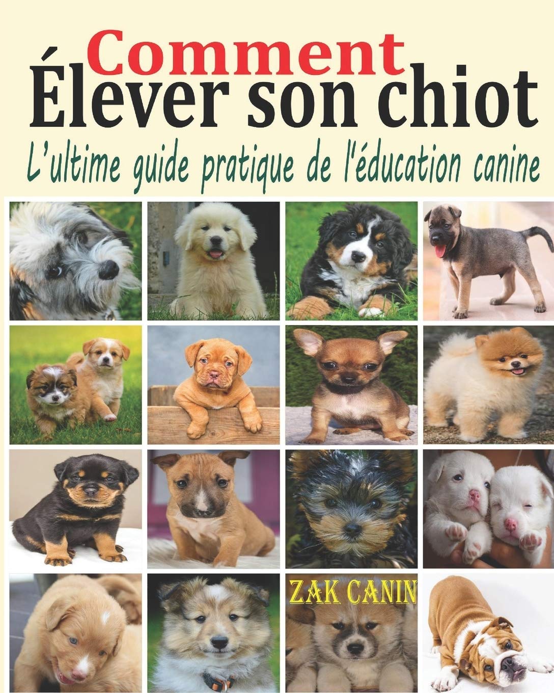 Comment élever son chiot: L’ultime guide pratique de l'éducation canine : Comment choisir, socialiser et éduquer son chiot pas à pas, mois par mois, avec les bases d'un dressage rapide et efficace Mathematics