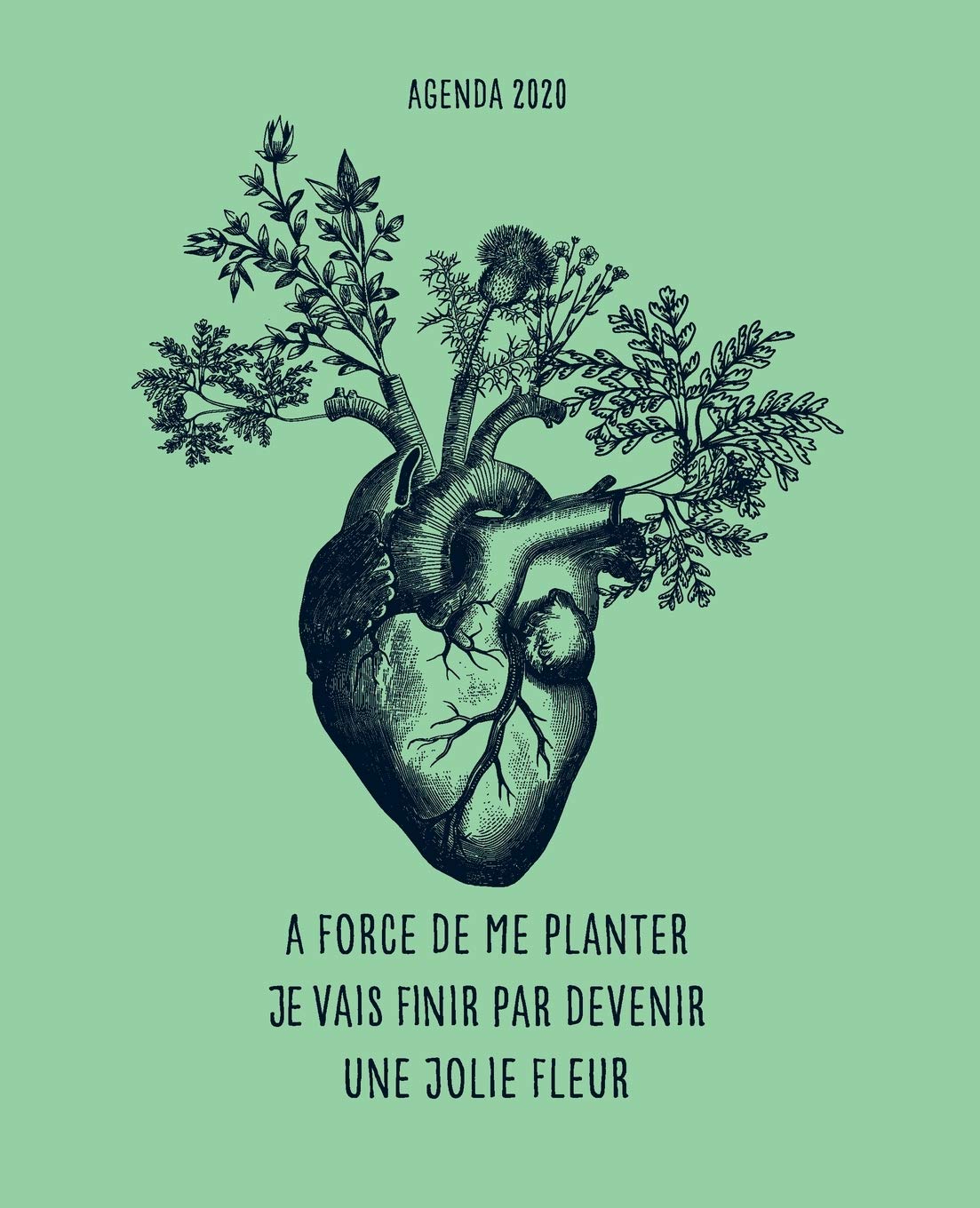 À force de me planter je vais finir par devenir une jolie fleur: Agenda, 12 mois de janvier à décembre, planification hebdomadaire, semainier simple et graphique, design soigné et professionnel book