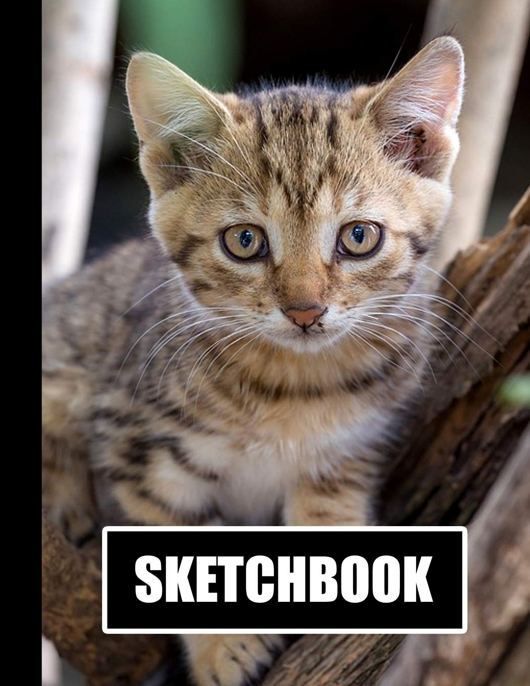Sketchbook: Cute Kitten Cat Cover Design | White Paper | 120 Blank Unlined Pages | 8.5" X 11" | Matte Finished Soft Cover Books
