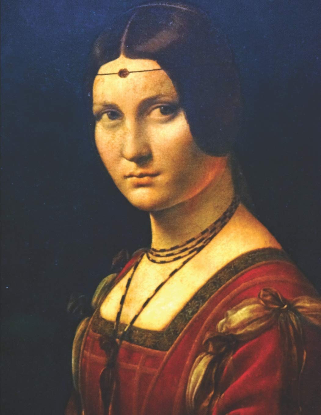 Leonardo da Vinci Black Paper Sketchbook: La Belle Ferronnière | Black & Red Woman Renaissance Art Notebook for Painting & Drawing with Bright Colors ... Markers (Black Art Sketchbooks, Band 40) Medicine