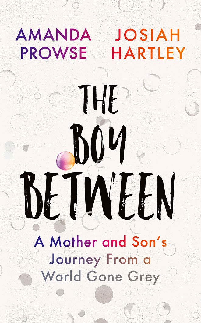 The Boy Between: A Mother and Son s Journey from a World Gone Grey Art & Literature