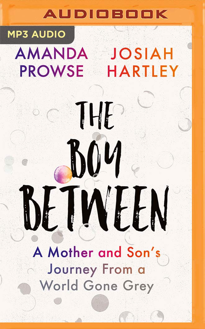 The Boy Between: A Mother and Son's Journey from a World Gone Grey Social Sciences