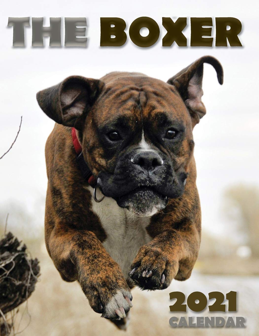The Boxer 2021 Calendar Pets