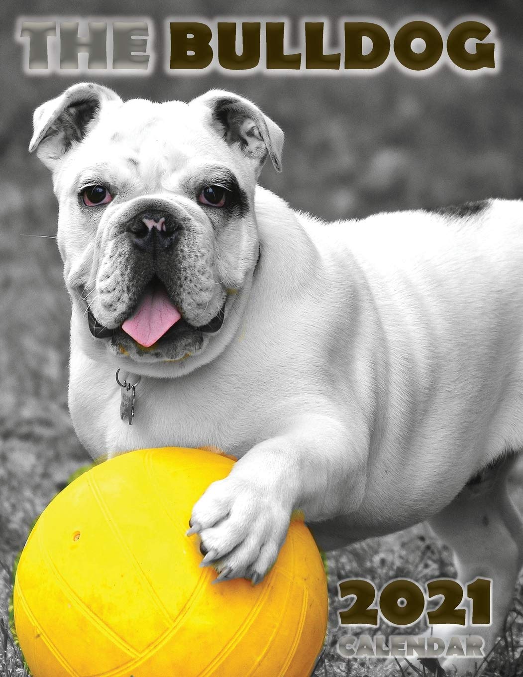 The Bulldog 2021 Calendar Pets