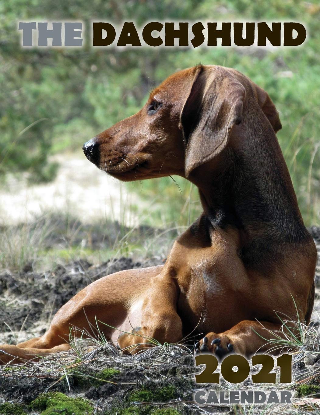 The Dachshund 2021 Calendar Pets