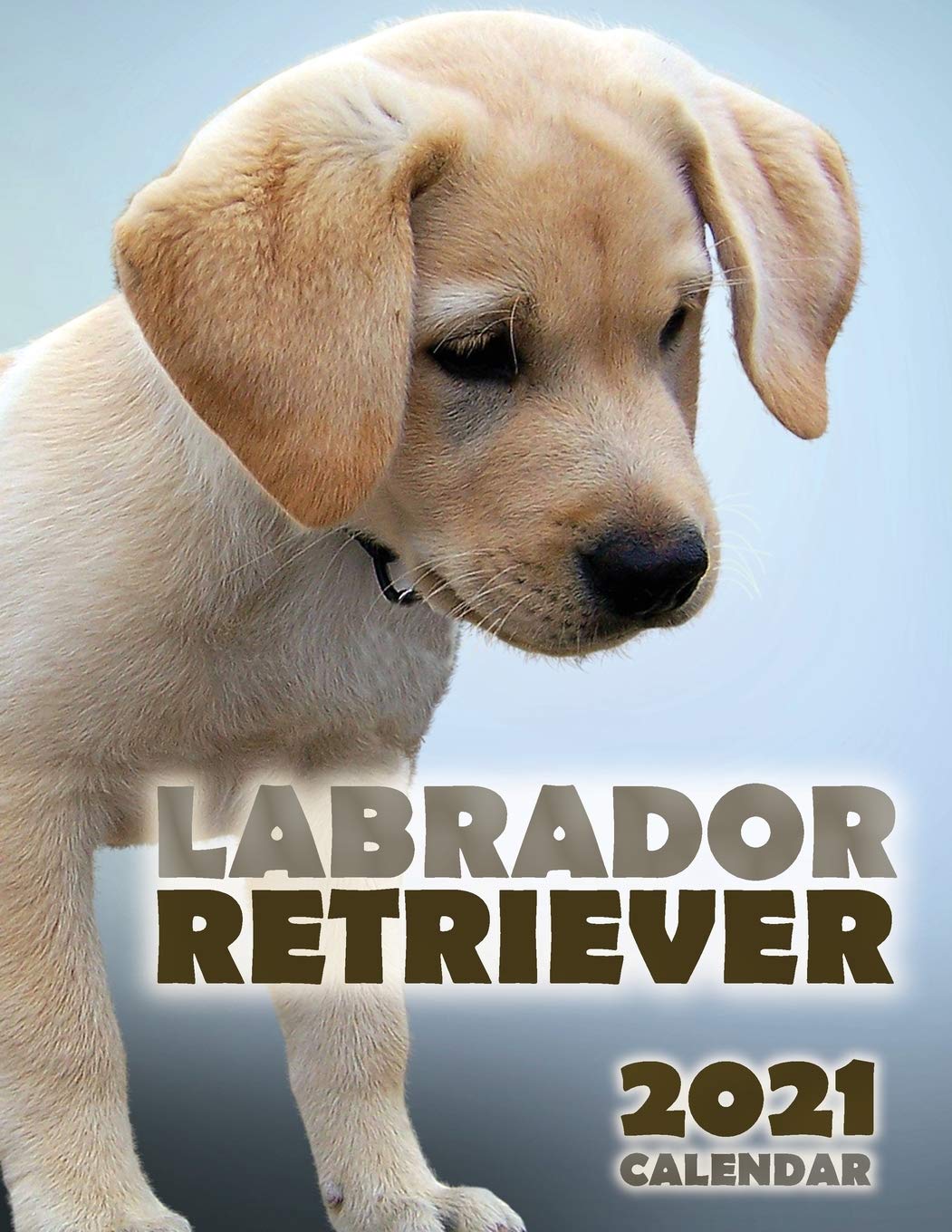 Labrador Retriever 2021 Calendar Pets
