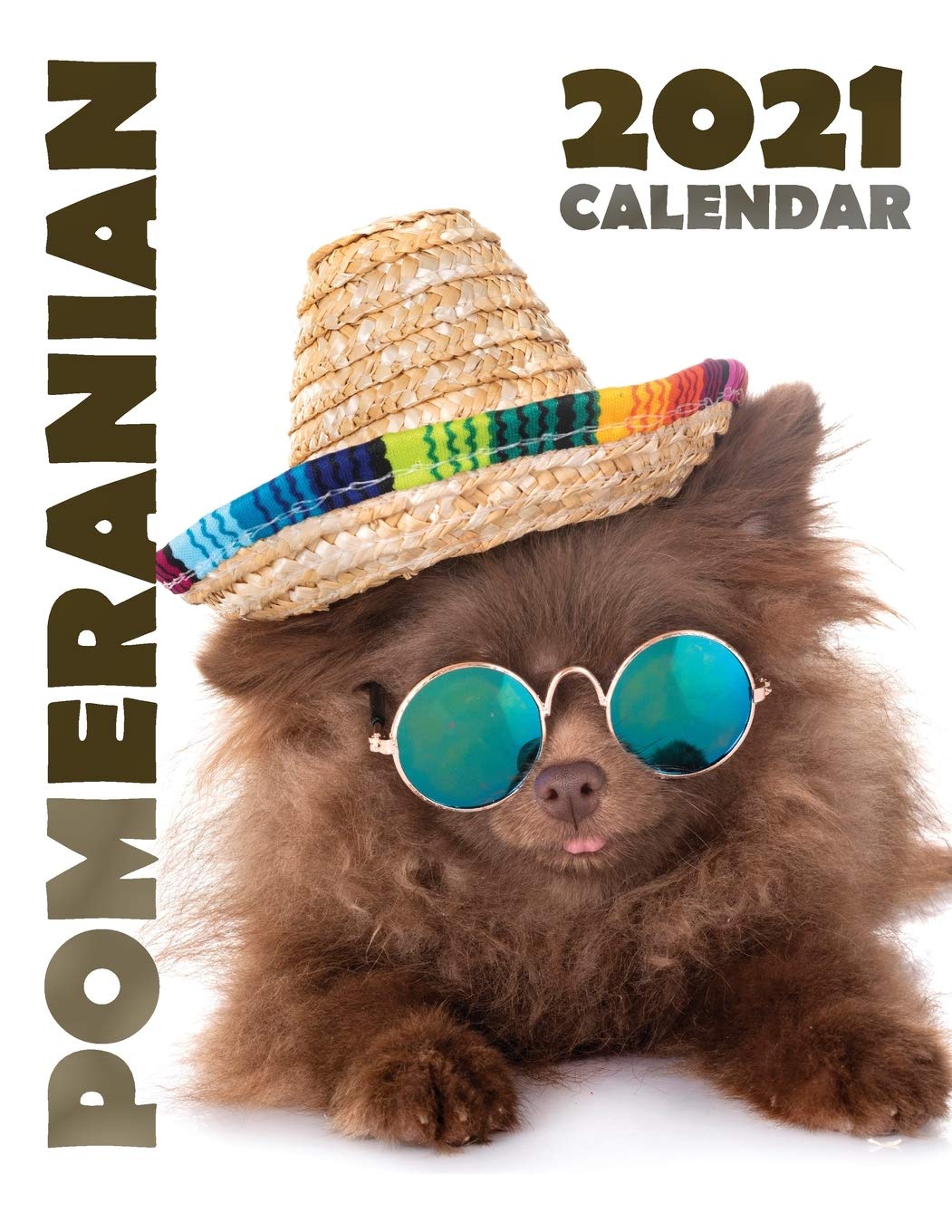 Pomeranian 2021 Calendar Pets