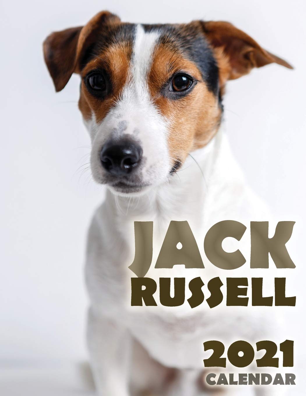 Jack Russell 2021 Calendar Contemporary literature