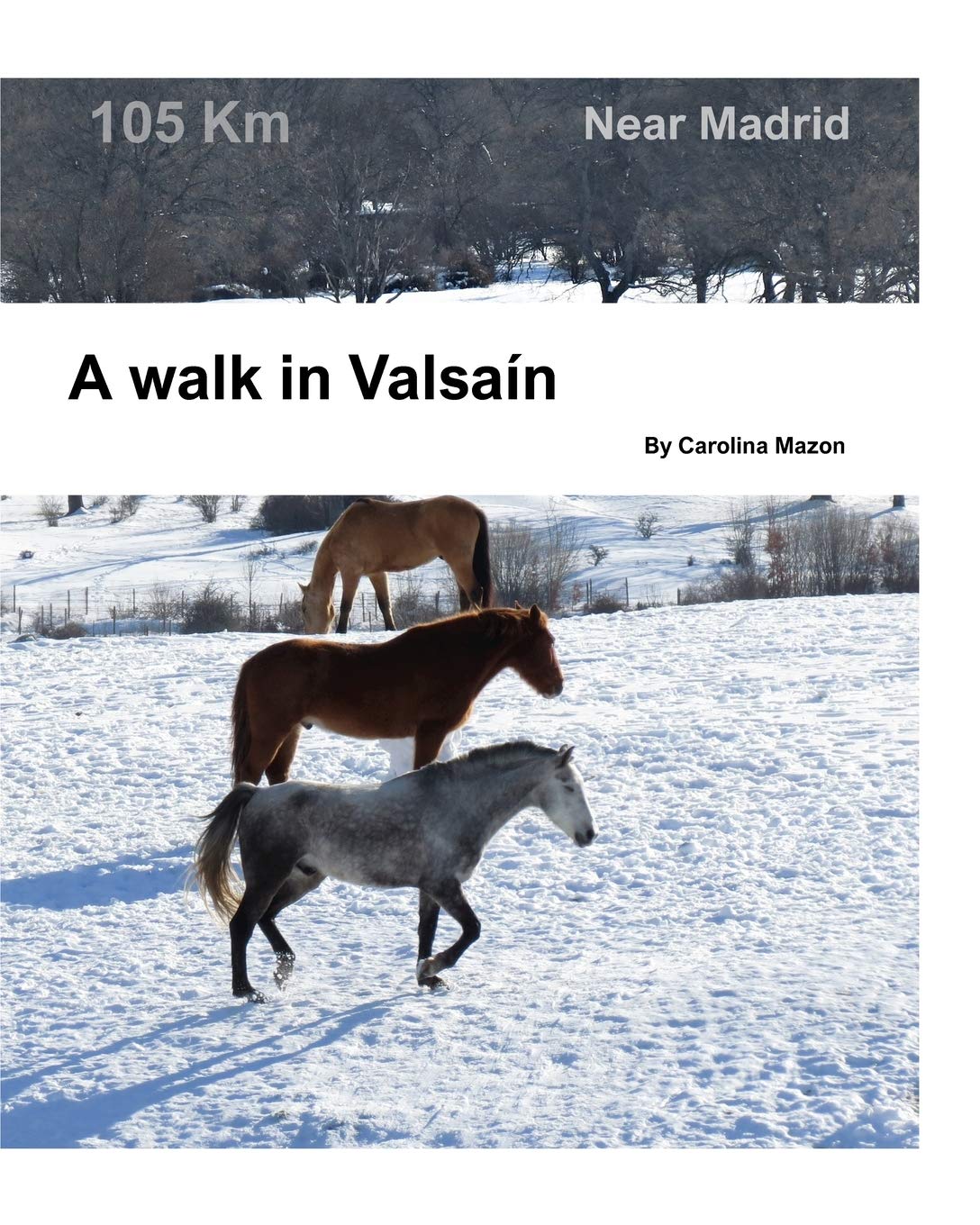 A walk in Valsaín: Near Madrid Photography