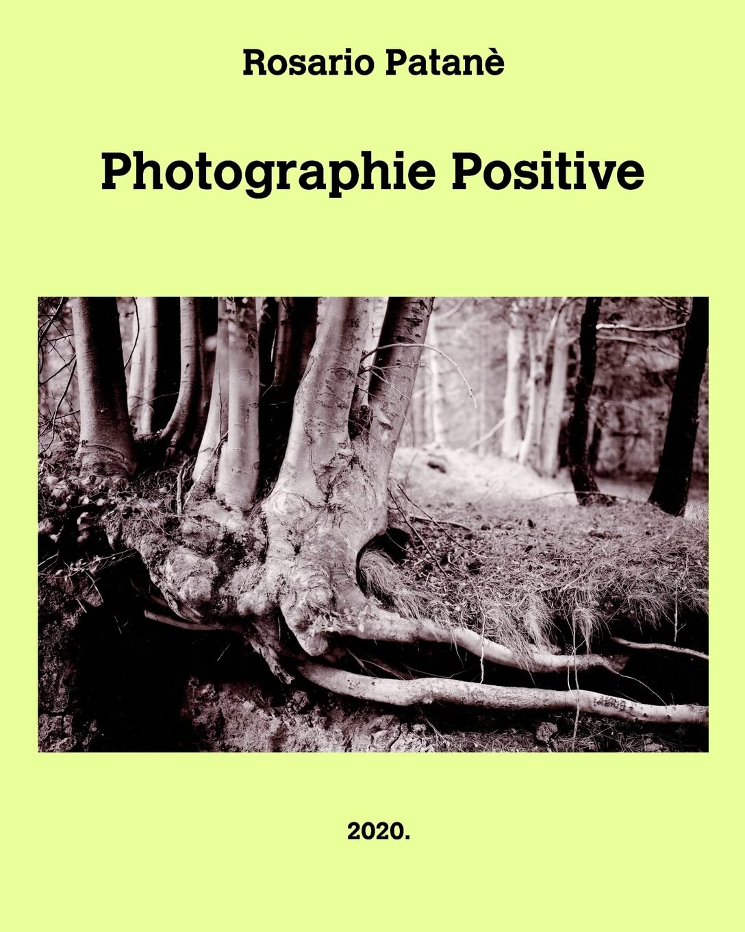 Photographie Positive: Manuel pratique de photographie positive directe sur papier book
