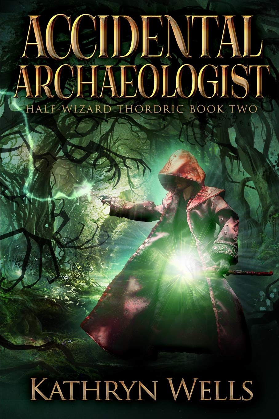 Accidental Archaeologist (Half-Wizard Thordric Book 2) book
