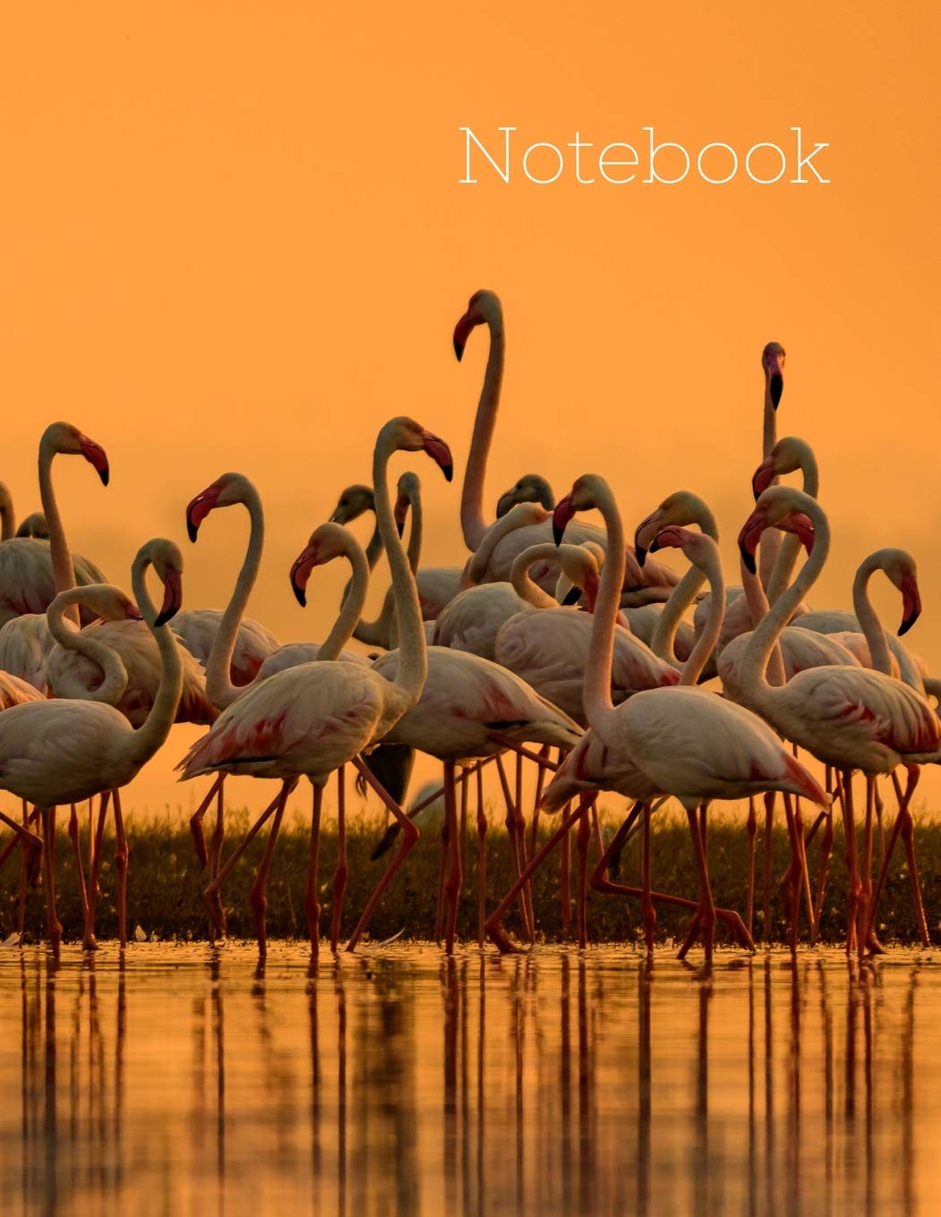 Notebook: 120 pages notebook, college ruled journal, large soft cover composition notebook, homeschooling, workbook for teens, kids, student, home and office Books