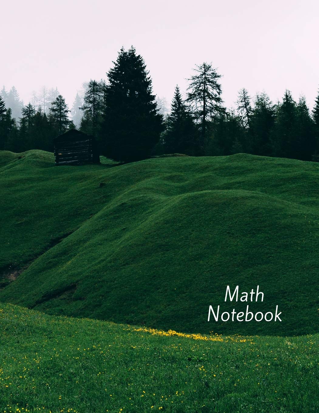 Math Notebook: 120 pages, math notebook, quad ruled workbook, 8.5 x 11 inch large soft cover journal, 4 squares per inch| suited for kids and students, homeschooling Books