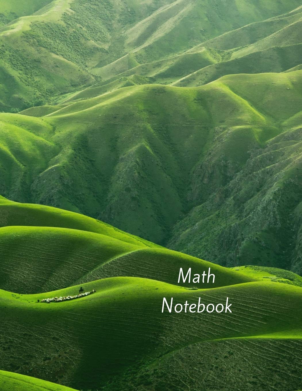 Math Notebook: 120 pages, math notebook, quad ruled workbook, 8.5 x 11 inch large soft cover journal, 4 squares per inch suited for kids and students, homeschooling Books