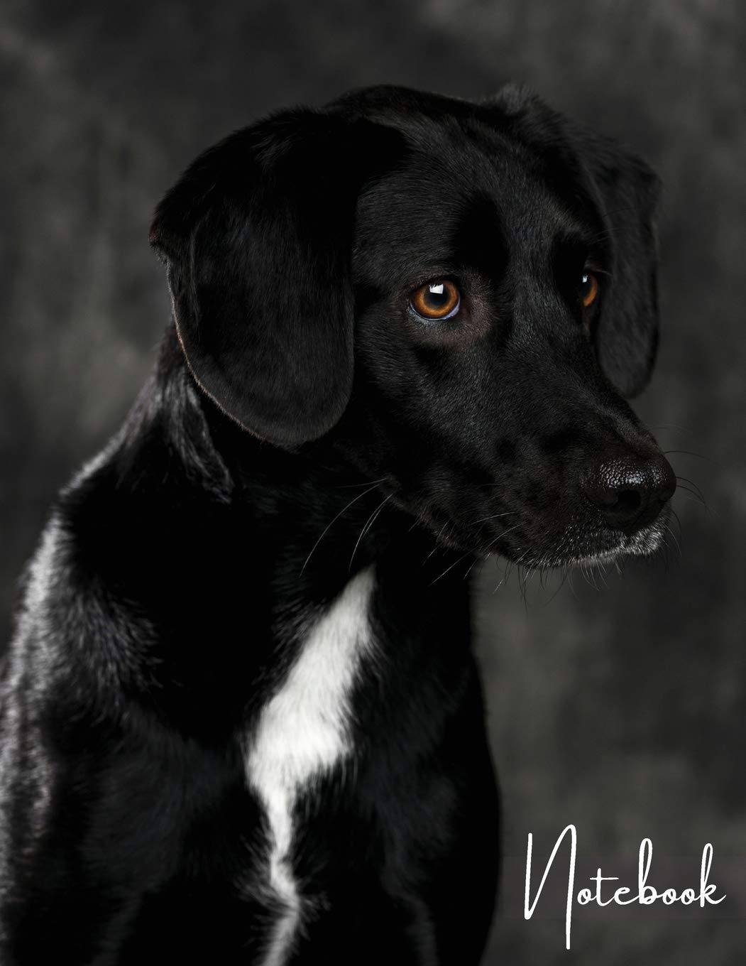 Notebook: Unlined - Unruled - Plain Notebook - Blank Journal - 130 Pages - Large Format 8.5 x 11 in - Workbook - Composition - Labrador Retriever Cover Design Pets