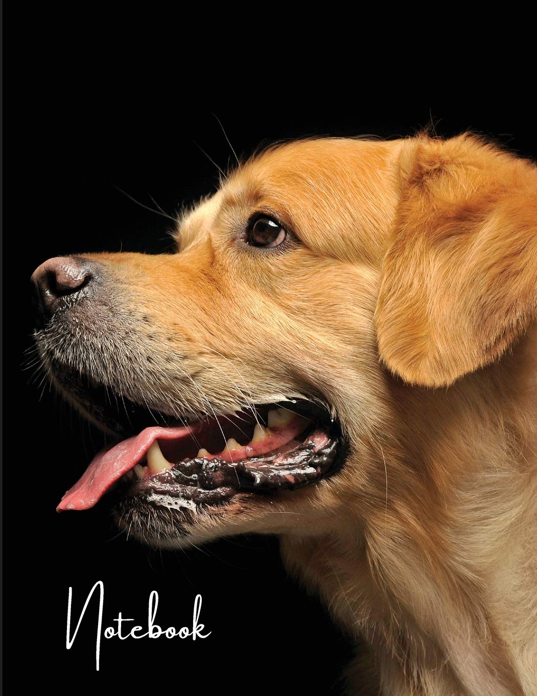 Notebook: Unlined - Unruled - Plain Notebook - 130 Pages - Large Format 8.5 x 11 in - Workbook - Composition - Golden Retriever Cover Design - Made in The USA for USA orders Books