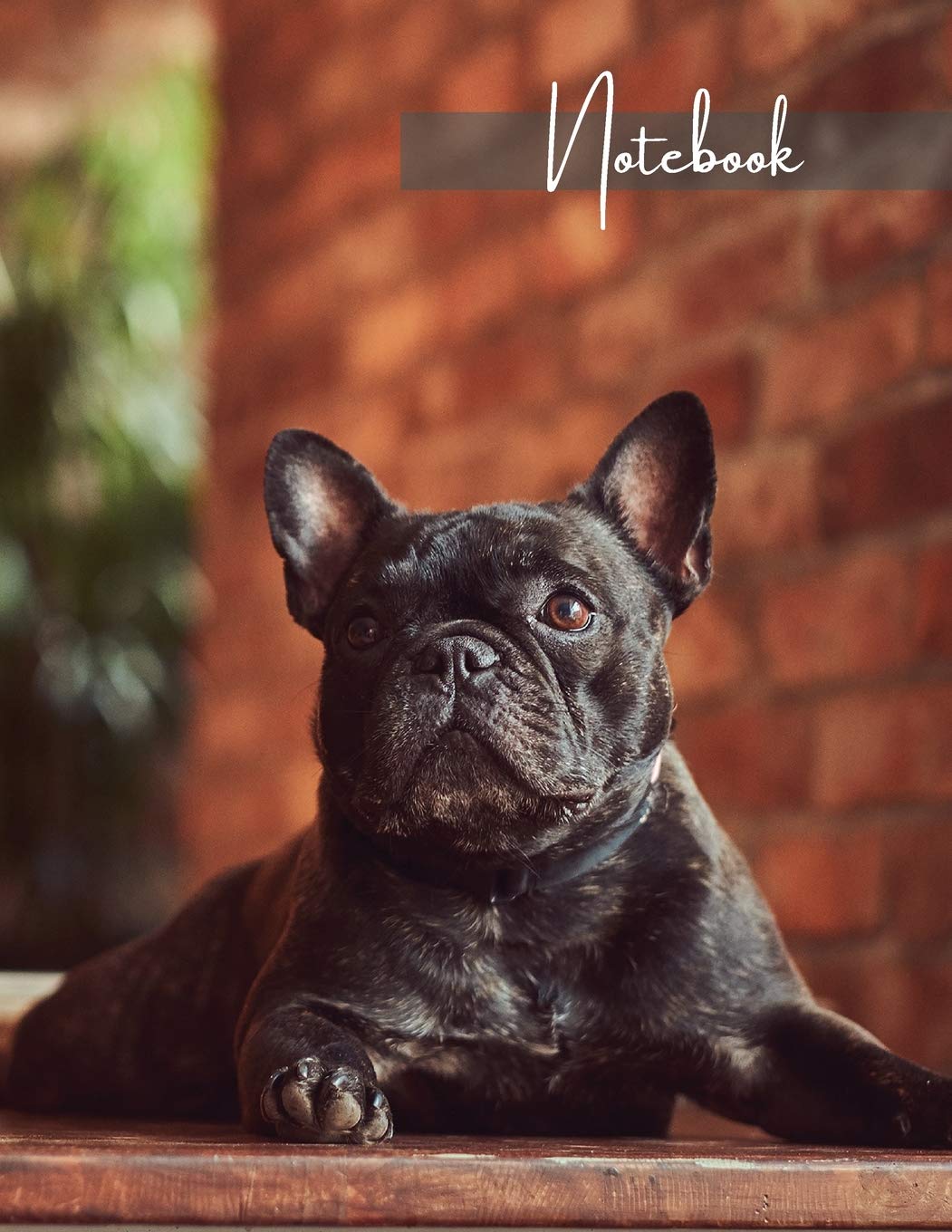 Notebook: Unlined - Unruled - Plain Notebook - 130 Pages - Large Format 8.5 x 11 in - Workbook - Composition - French Bulldog Cover Design Pets