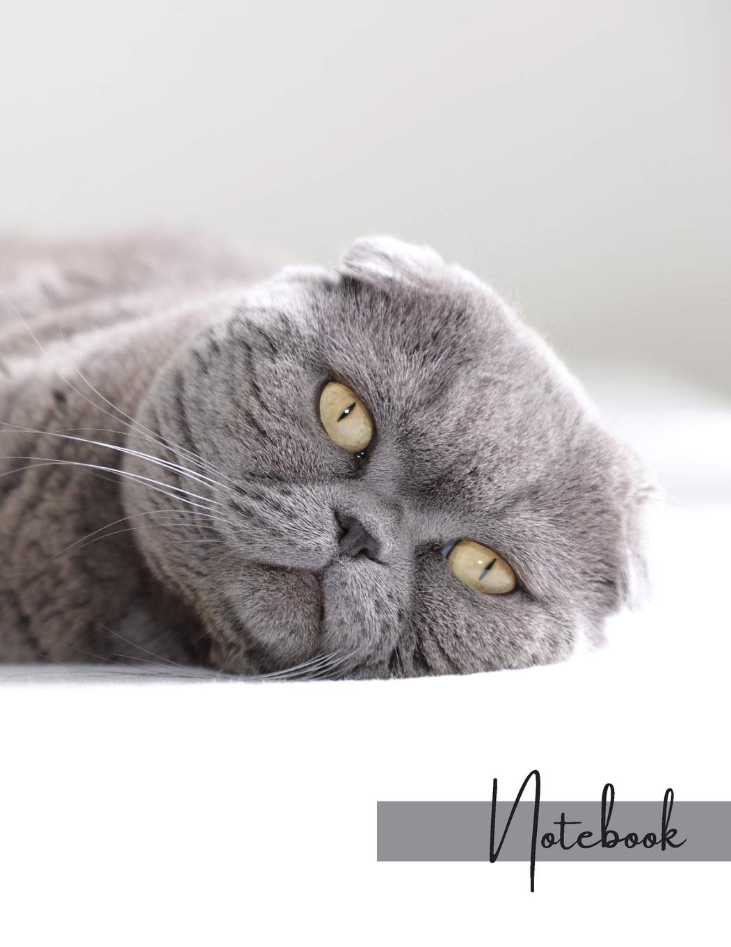 Notebook: Unlined - Unruled - Plain Notebook - 130 Pages - Large Format 8.5 x 11 in - Workbook - Composition - Cats - Abyssinian Cover Design - Made in The USA for USA orders Pets