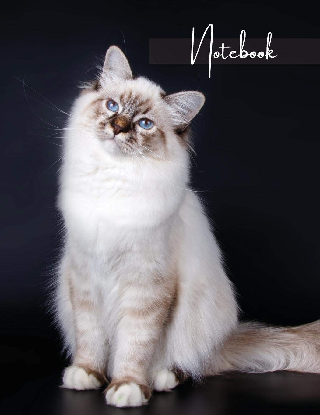 Notebook: Unlined - Unruled - Plain Notebook - 130 Pages - Large Format 8.5 x 11 in - Workbook - Composition - Cats - Ragdoll Cover Design Books