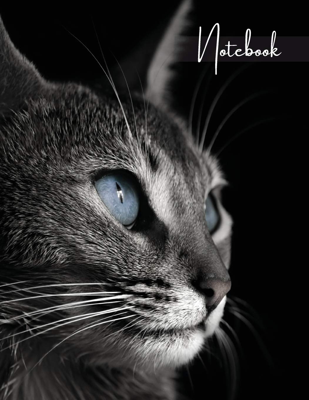 Notebook: Unruled - Plain Notebook - Blank Journal - 130 Pages - Large Format 8.5 x 11 in - Workbook - Composition - Cats - Abyssinian Cover Design Books