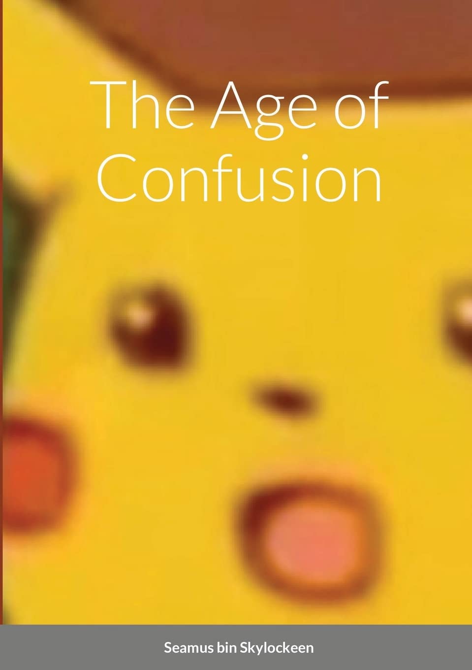 The Age of Confusion book