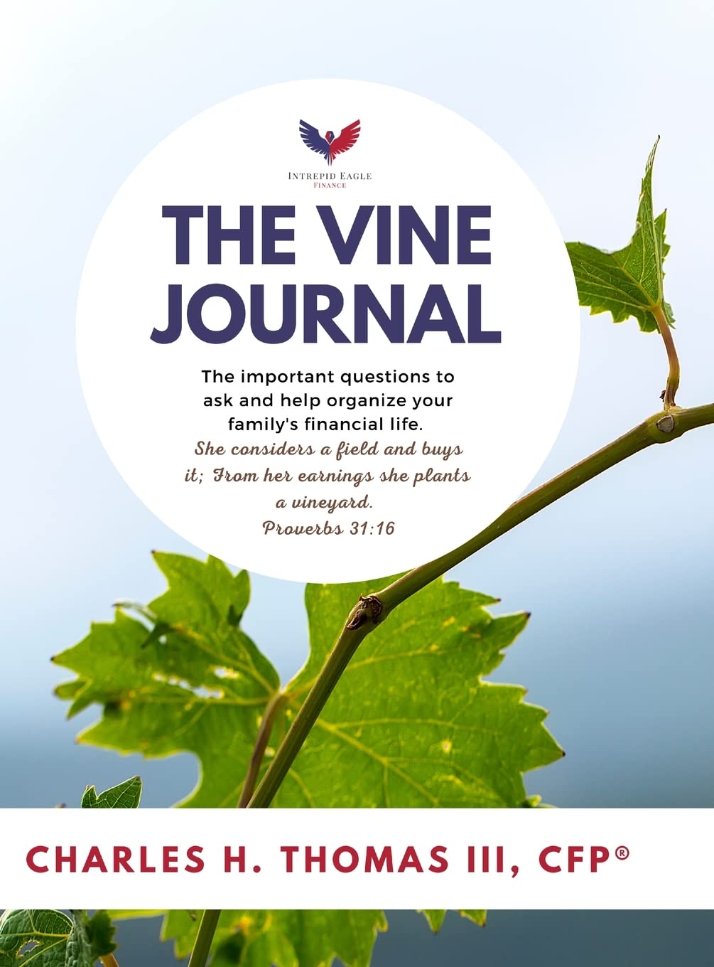 The Vine Journal: The important questions to ask and help organize your family's financial life. book