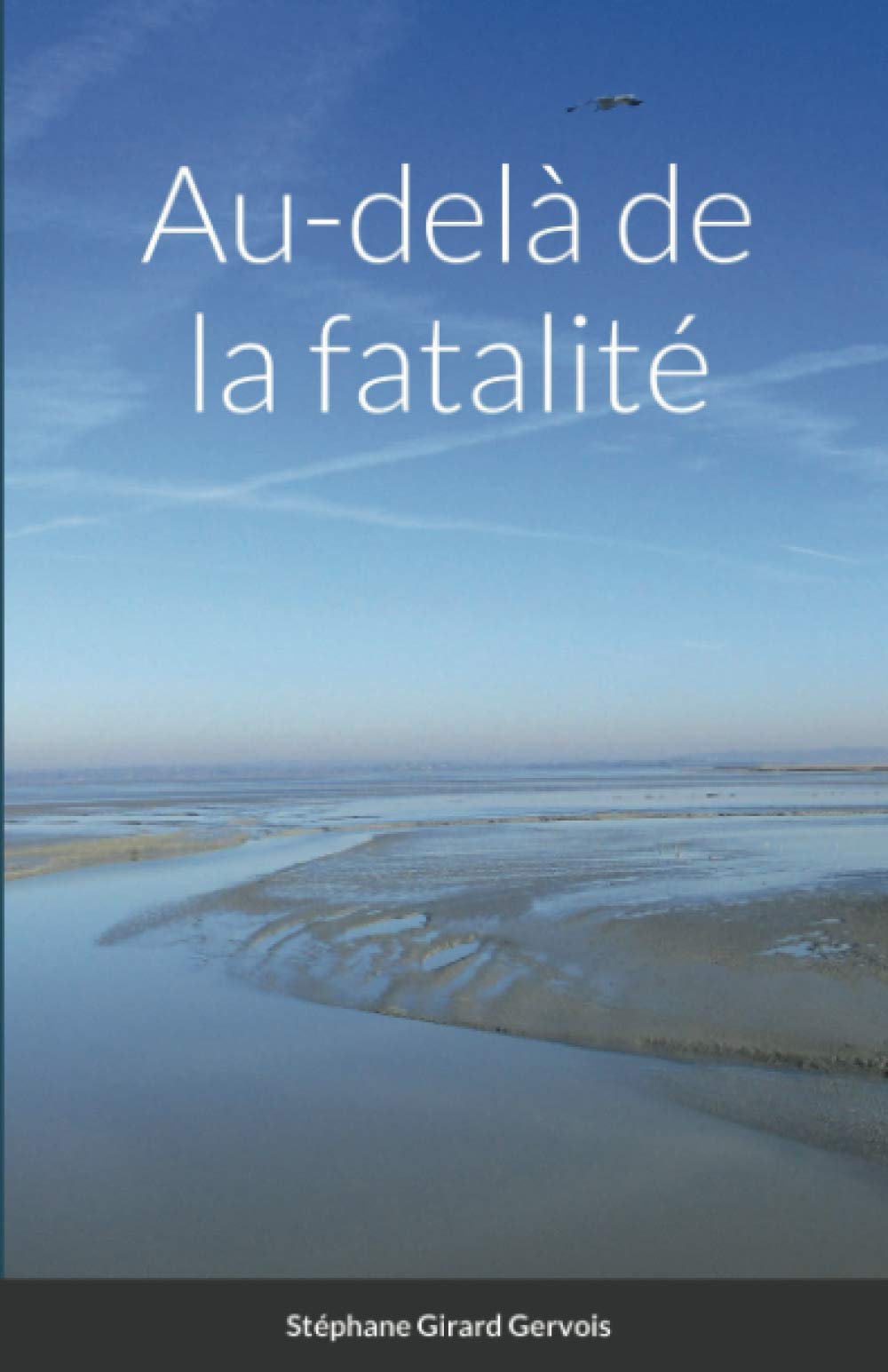Au-delà de la fatalité book