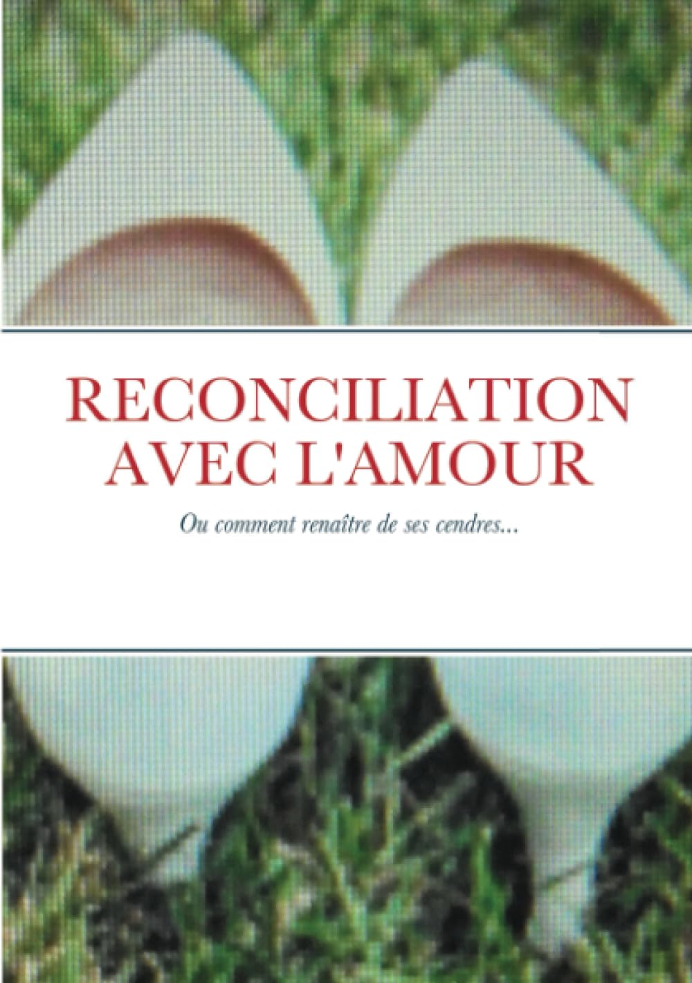 RECONCILIATION AVEC L'AMOUR book