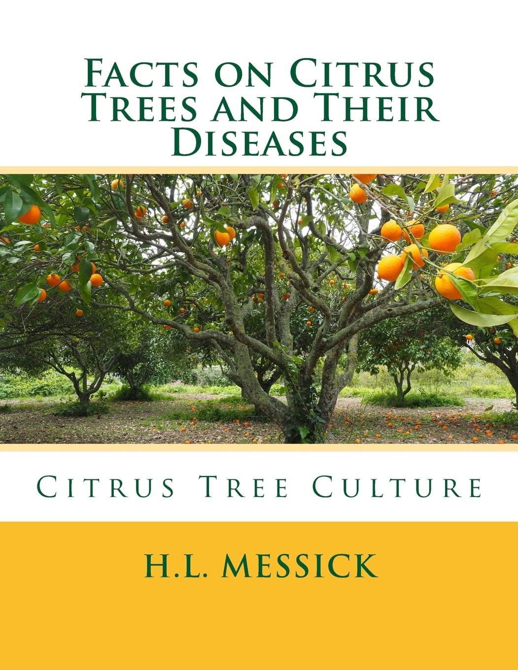 Facts on Citrus Trees and Their Diseases: Citrus Tree Culture Garden & Plants