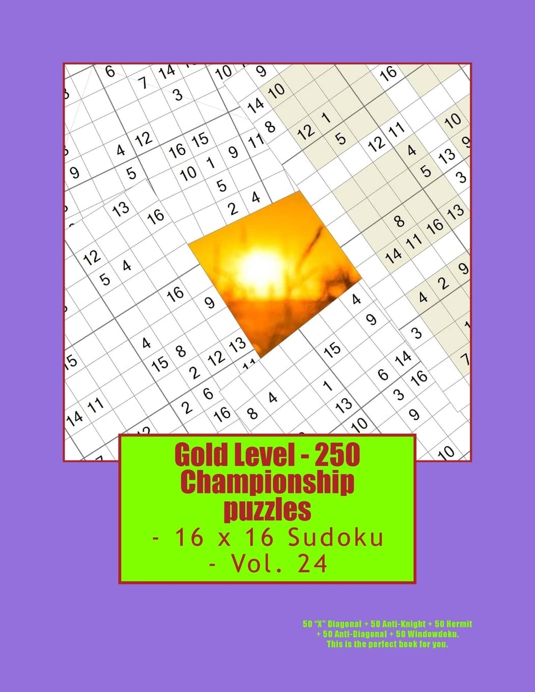 Gold Level - 250 Championship puzzles - 16 x 16 Sudoku - Vol. 24: 50 “X” Diagonal + 50 Anti-Knight + 50 Hermit + 50 Anti-Diagonal + 50 Windowdoku. ... book for you. (PITSTOP GOLD SERIES, Band 24) Leisure & Fun