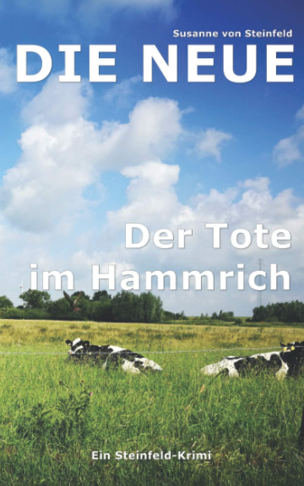 Die Neue: Der Tote im Hammrich (Steinfeld-Krimi, Band 1) Detective & CSI