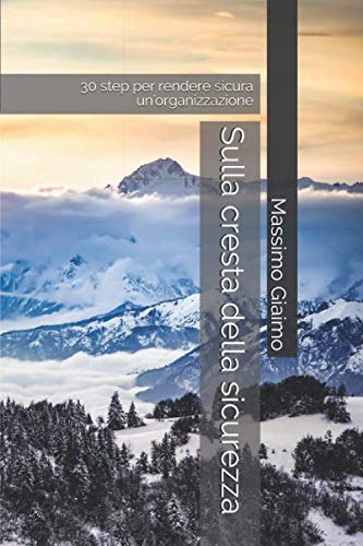 Sulla cresta della sicurezza: 30 step per rendere sicura un'organizzazione book
