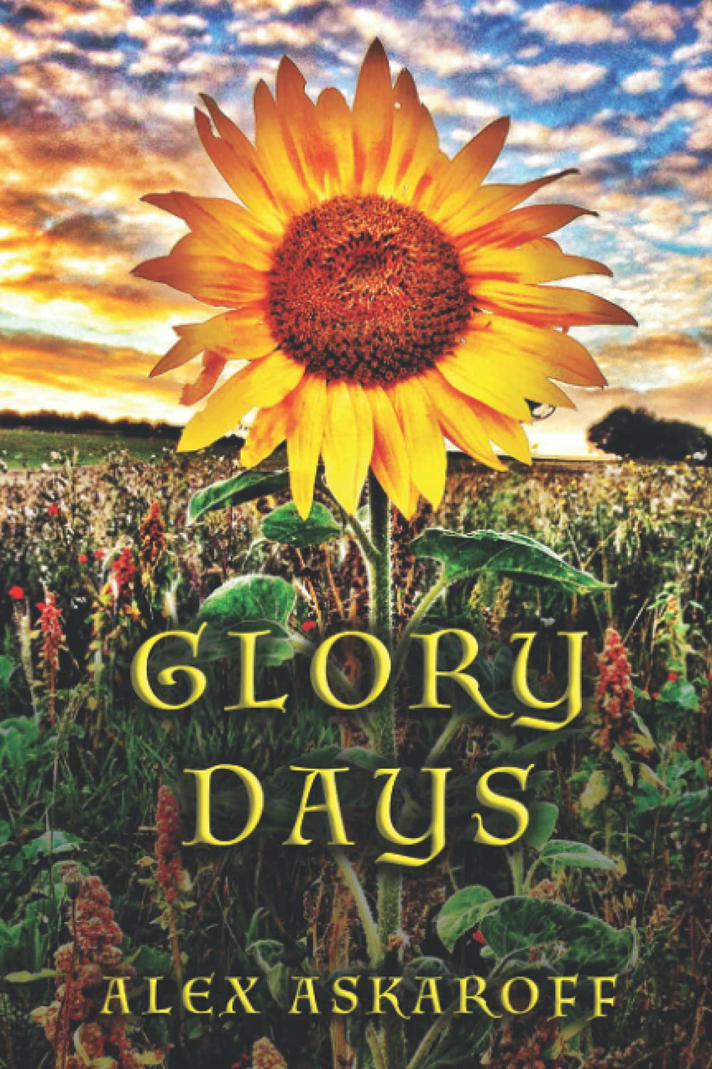 GLORY DAYS (On The Road Series, Band 6) Social Sciences