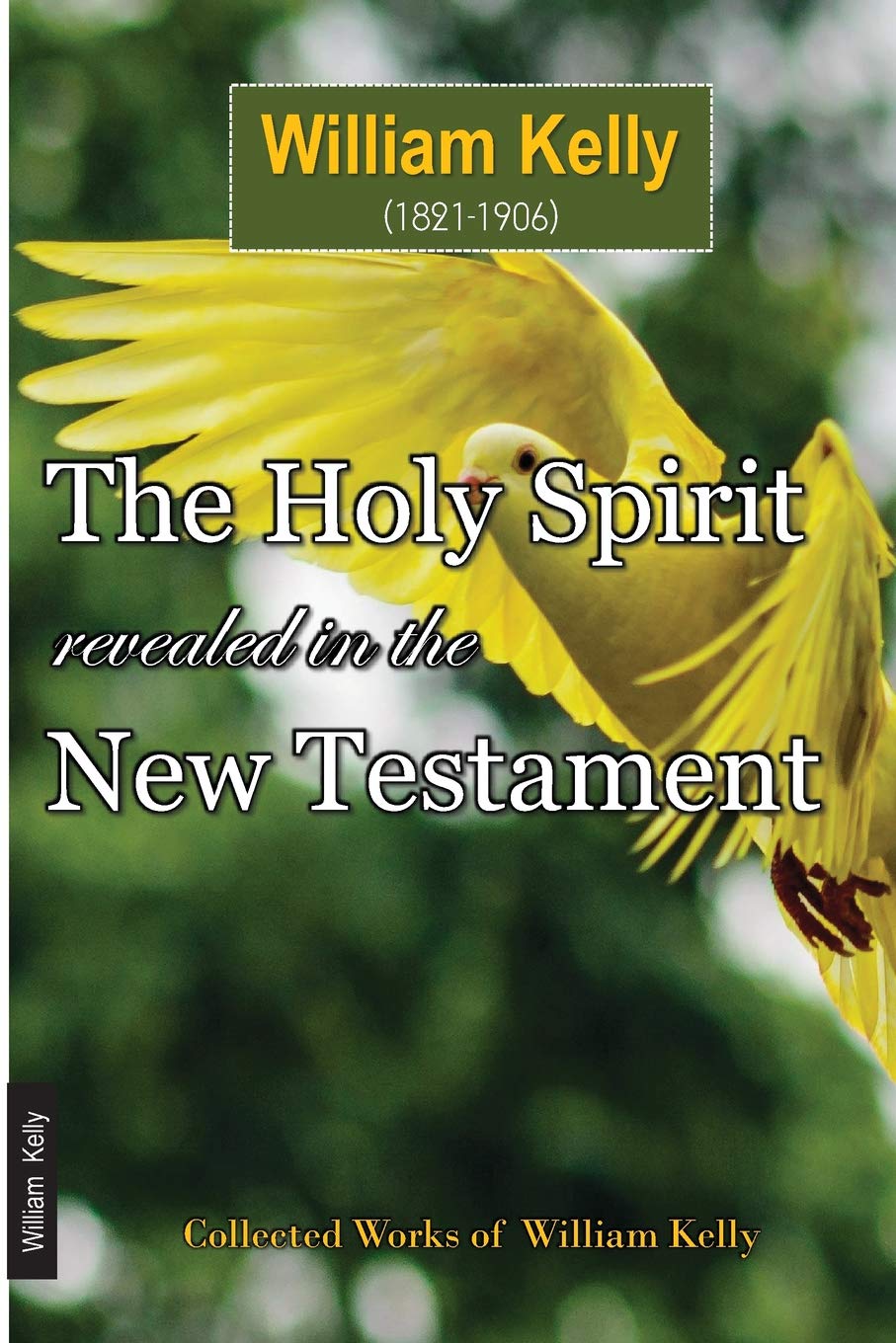The Holy Spirit Revealed in the New Testament (Collected Works of William Kelly, Band 9) Social Sciences