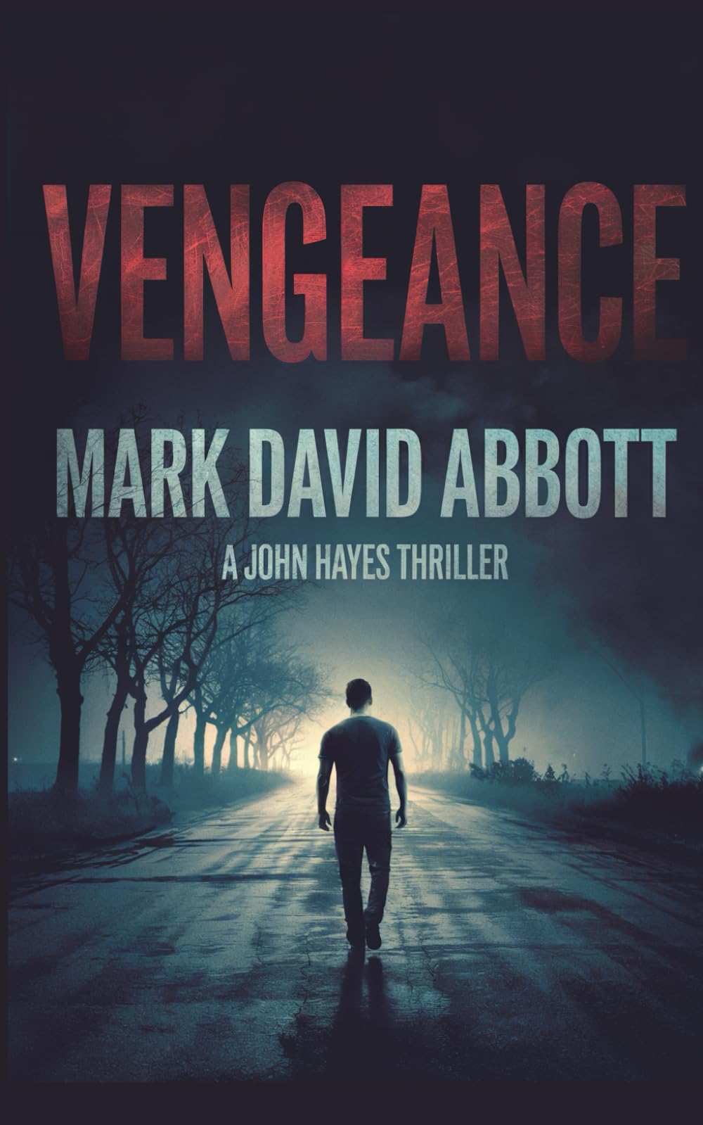 Vengeance: A Revenge Thriller - John Hayes Book 1 (A John Hayes Thriller, Band 1) Action & Adventure