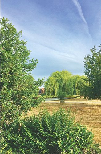 Battle at Gofer House: or: Tina's Adventure Novels & Short Stories