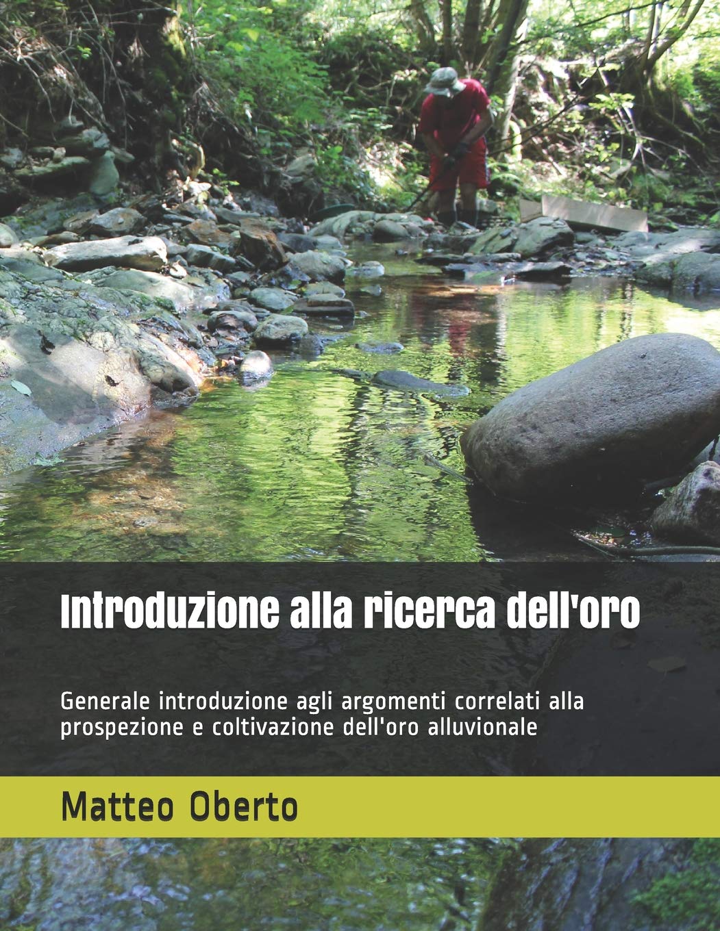 Introduzione alla ricerca dell'oro: Generale introduzione agli argomenti correlati alla prospezione e coltivazione dell'oro alluvionale (Ricerca dell'oro moderna e antica, Band 1) Learning & Reference