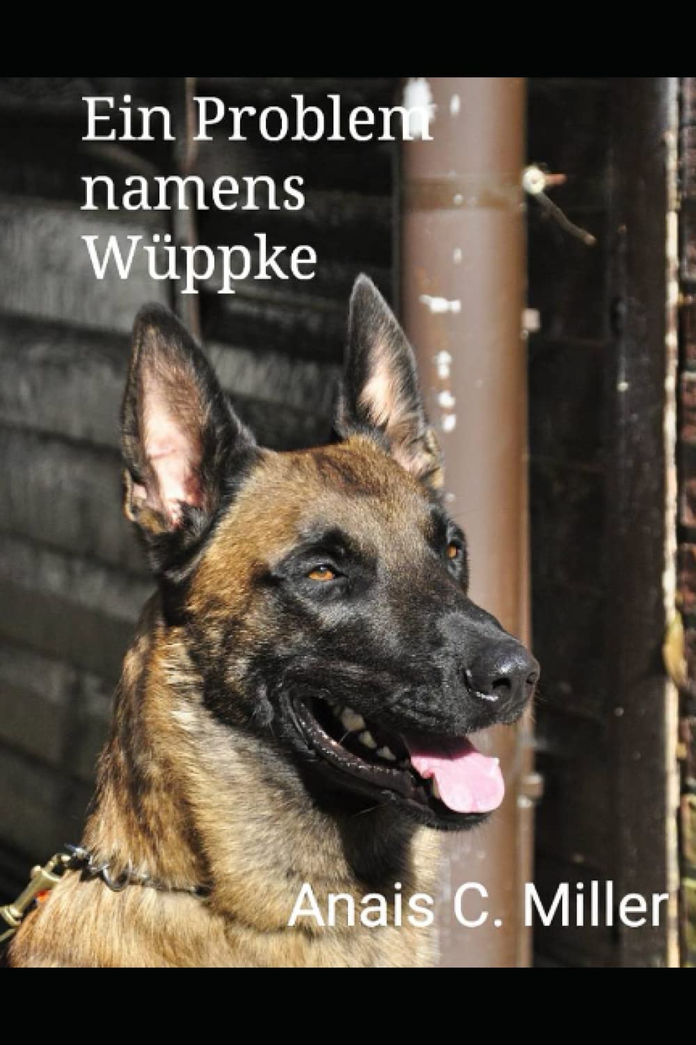 Ein Problem namens Wüppke Memories