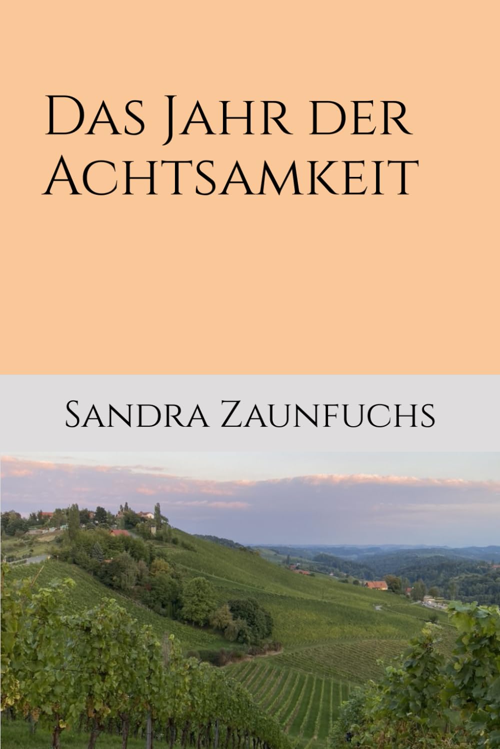 Das Jahr der Achtsamkeit: Wie ein uraltes Prinzip uns neue Wege aufzeigt (Stärken Stärken Achtsamkeitsreihe) Social Sciences